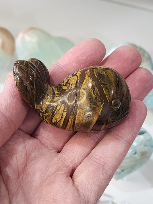 🐋Tiger’s Eye Whale Carving
