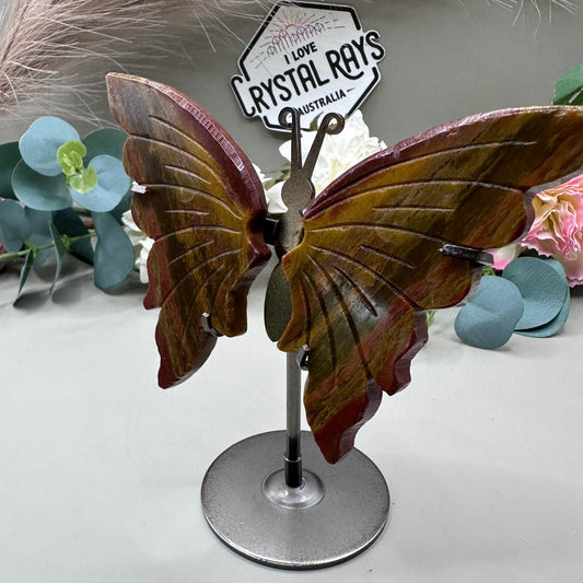 JASPER Butterfly
