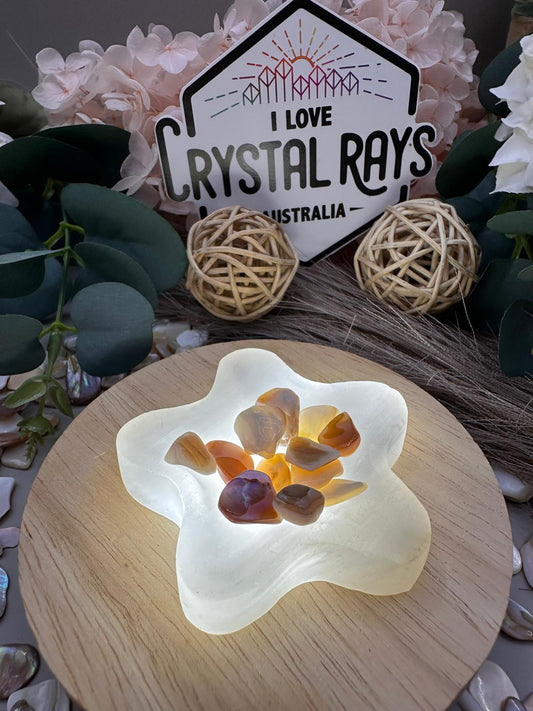 Selenite ~ Star Bowl
