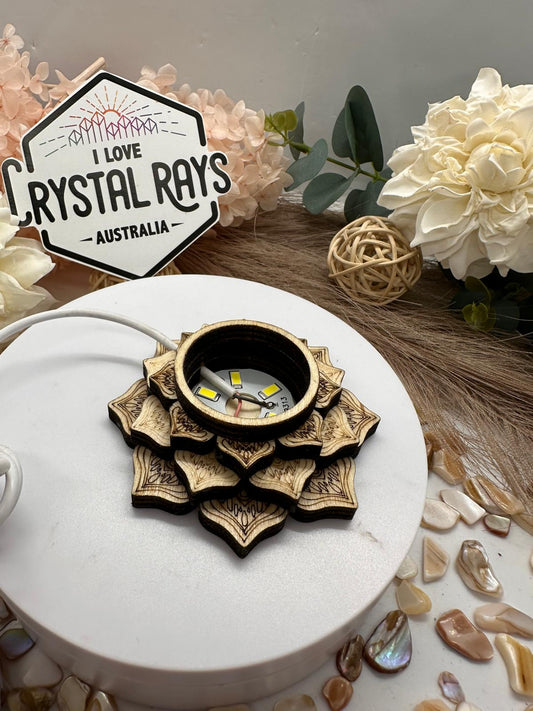 ✨Small Lotus Stands colour & white LED Light
